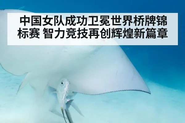 中国女队成功卫冕世界桥牌锦标赛 智力竞技再创辉煌新篇章
